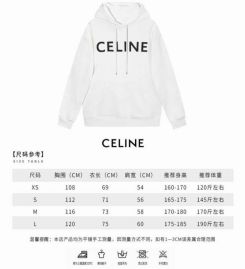 Picture of Celine Hoodies _SKUCelineXS-Lxqtn0110299